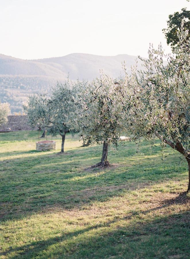 Montanare Cortona