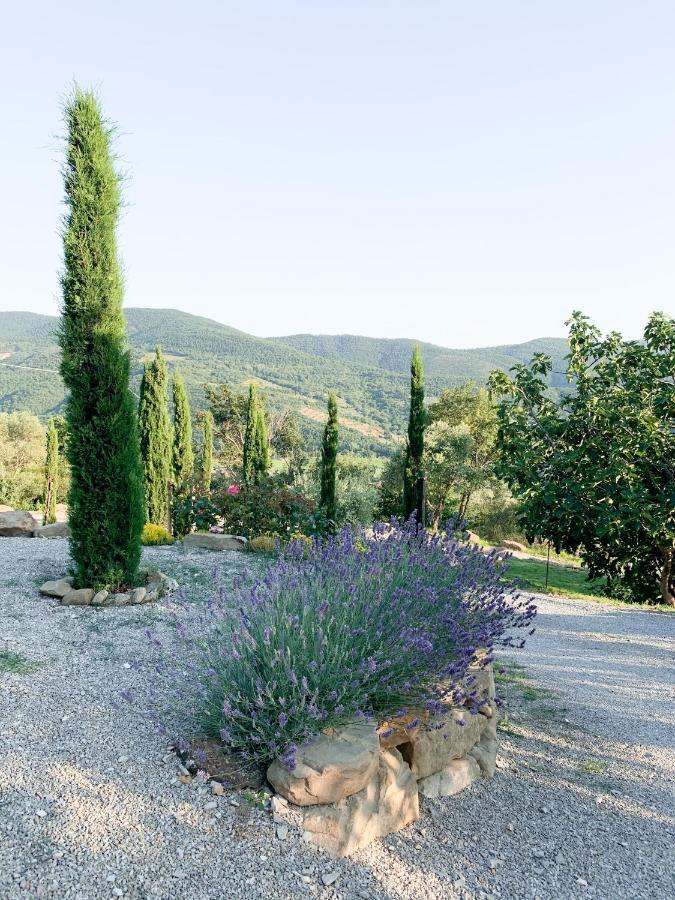 Montanare Cortona