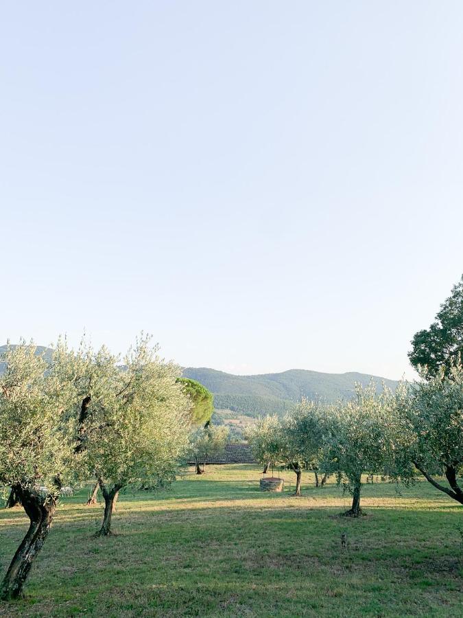 Privatunterkunft Montanare Cortona